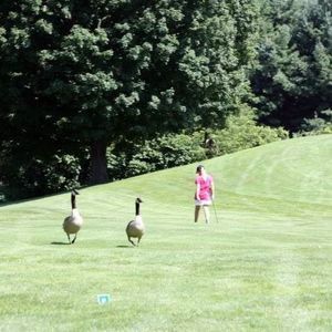 Meet your Posher, Lee